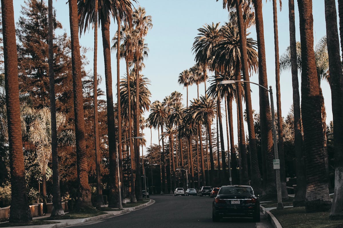 EV Fleet Transition