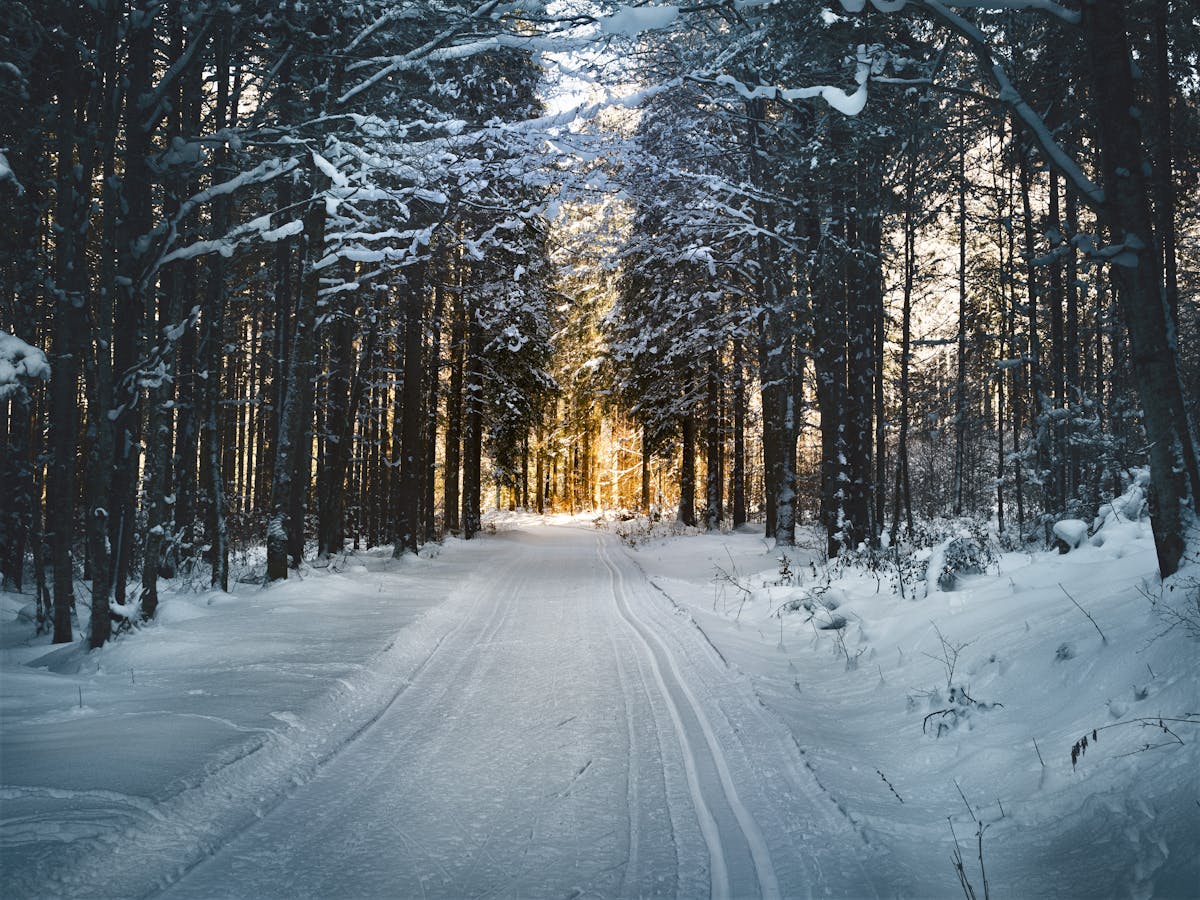EV Winter Driving